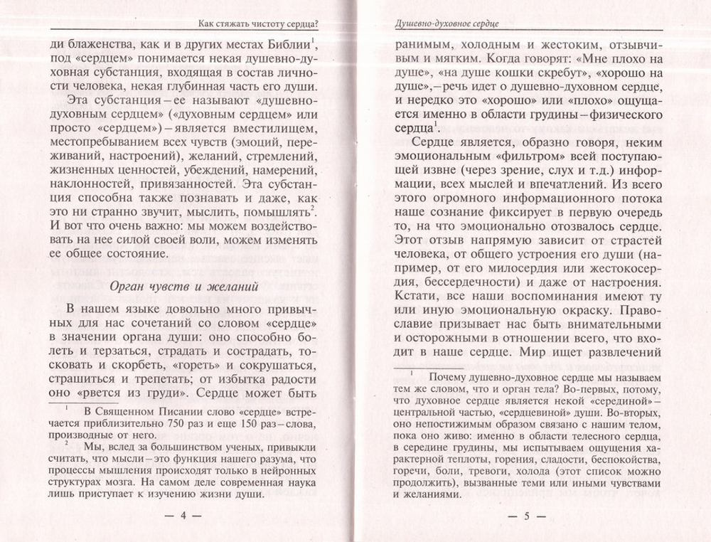 Как стяжать чистоту сердца? О шестой заповеди блаженства