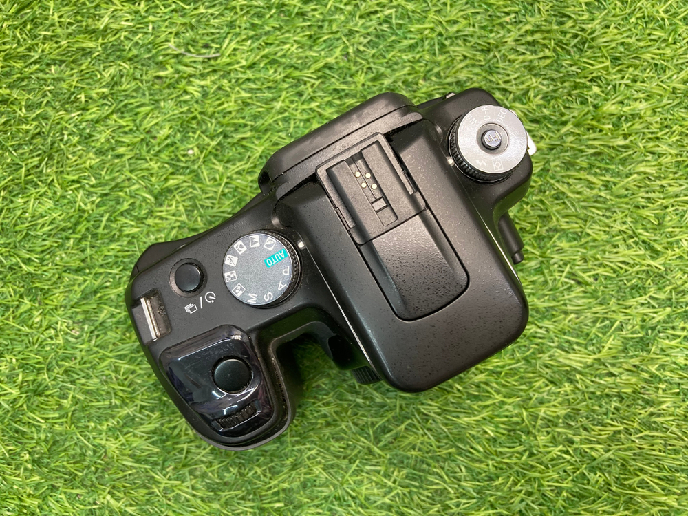 Sony A100