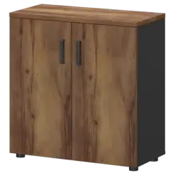 Шкаф СМШ-28Д Тип2  792x380x1214 Смарт