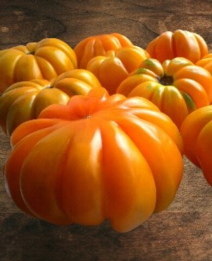 Томат биколор Лотарингская красавица 10шт.