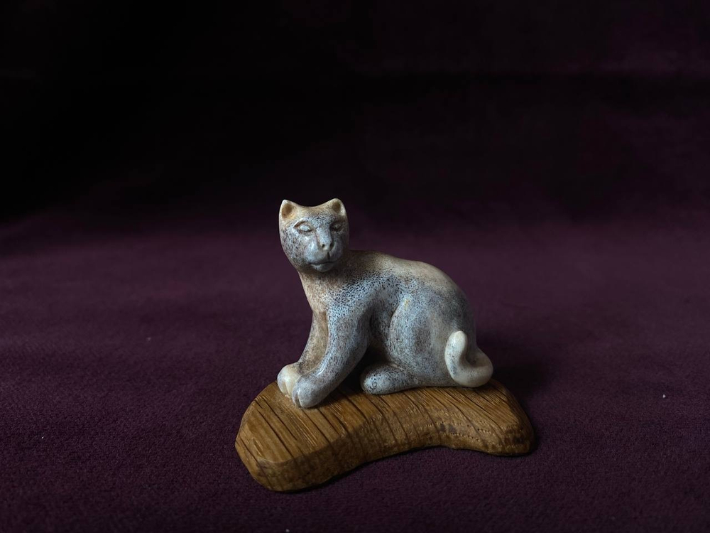 Кот