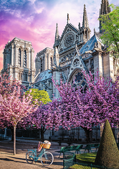 Puzzles - "1000 Premium Plus" - Photo Odyssey: Notre-Dame Cathedral of Paris_FSC Mix 70%