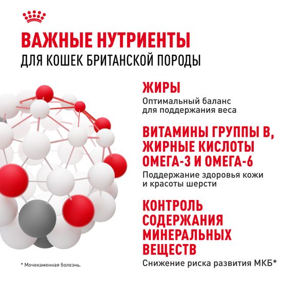 Royal Canin British Shorthair Adult влажный корм в соусе для взрослых от 1 года кошек породы британская короткошерстная и скоттиш-фолд Royal Canin British Shorthair Adult влажный корм в соусе для взрослых от 1 года кошек породы британская короткошерстная и скоттиш-фолд