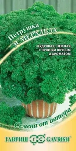 Петрушка кудрявая