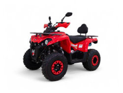 Квадроцикл бензиновый MOTAX GRIZLIK 200 ULTRA