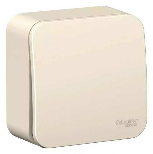Schneider Electric BLANCA О/У ВЫКЛЮЧАТЕЛЬ 1-клавишный (cх.1) ИЗОЛ.ПЛ., 10А, 250B, МОЛОЧНЫЙ   407508