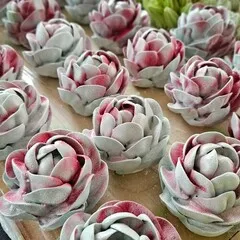 Зефир «Кактусы» / 24*10 см