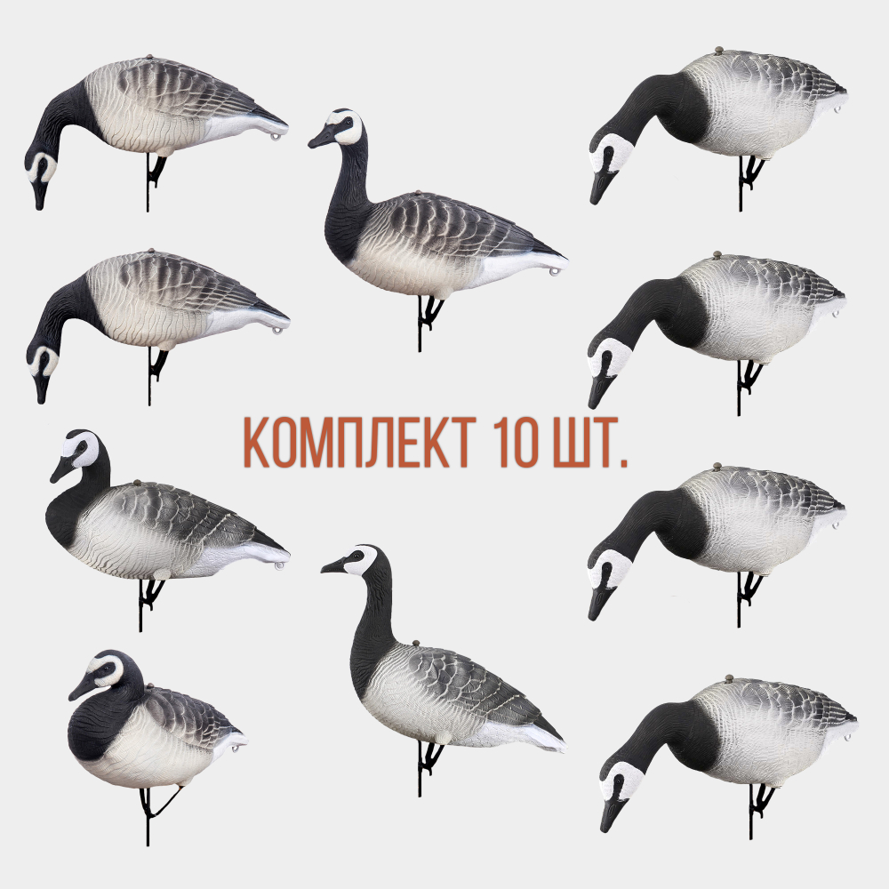 Белощекая казарка Softplast 3D мод. KS-3D