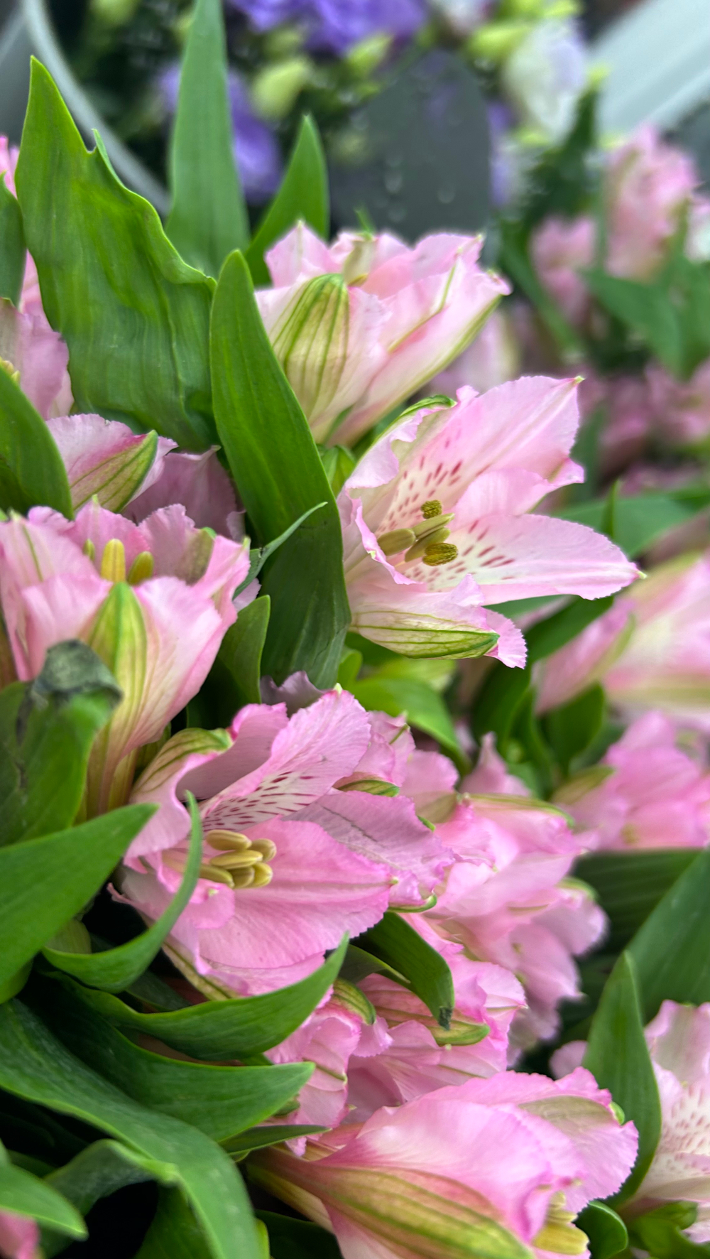 Букет на 150 руб