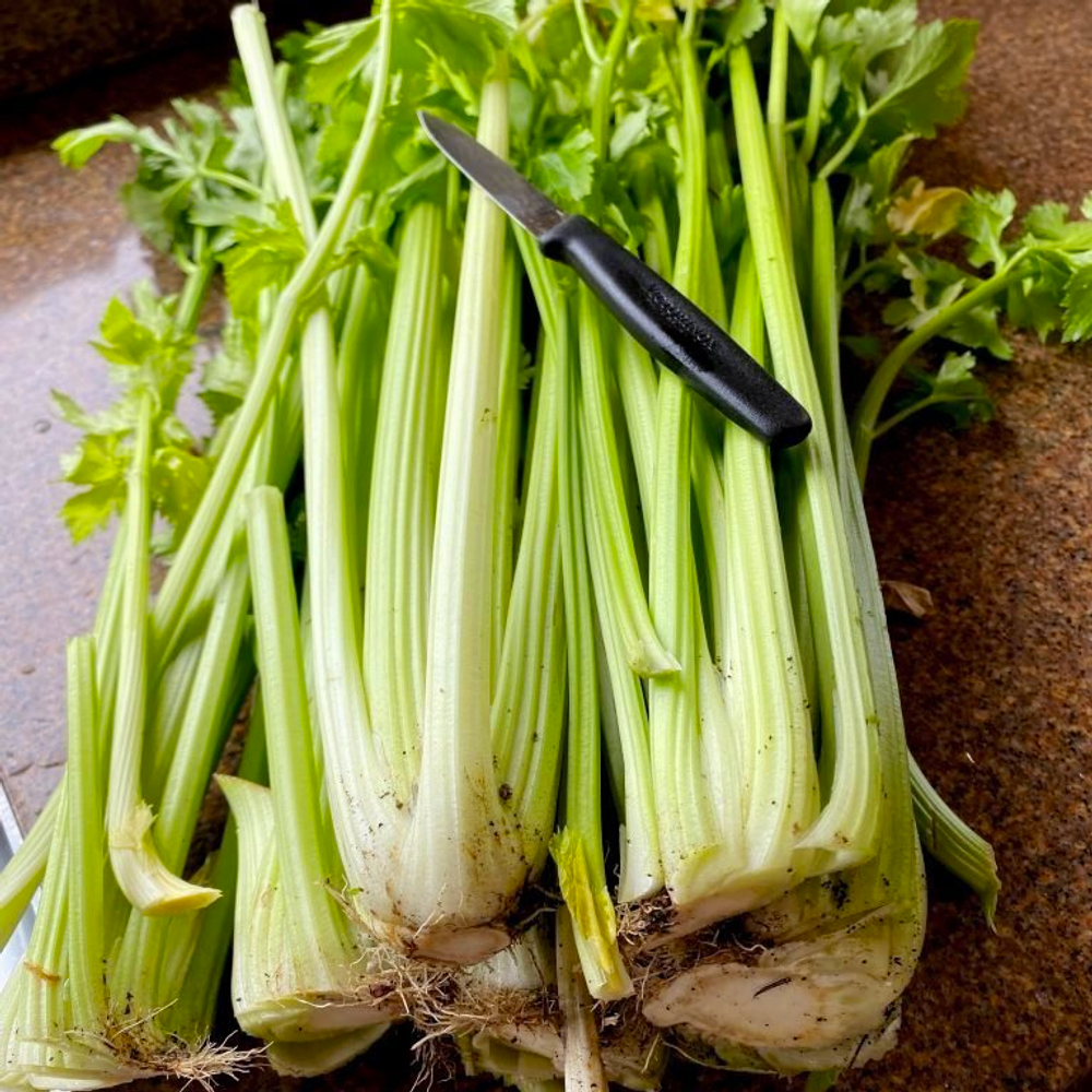 Гигант Паскаля Черешковый Сельдерей - Giant Pascal Celery