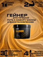 Гейнер для набора массы ELEMENT GAINER , Ваниль , 1000 г