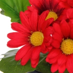 Цветочная композиция «Поцелуй лета» Хризантема красная 20см