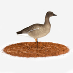 Гусь гуменник Duck Mania "ALFA"