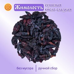 Жимолость Алтайская "Лесная".