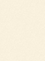 Сальвадор-фон 61 бежевая