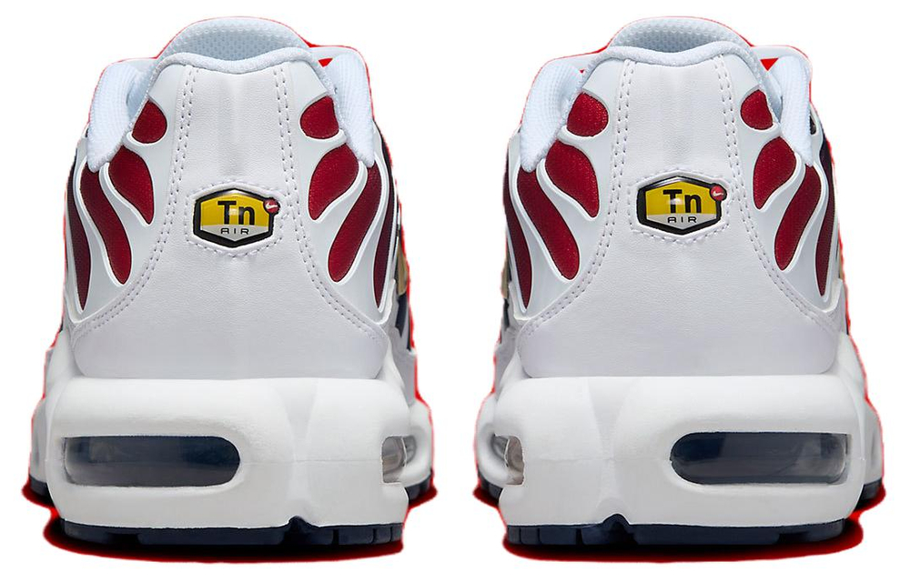 Nike Air Max Plus PSG
