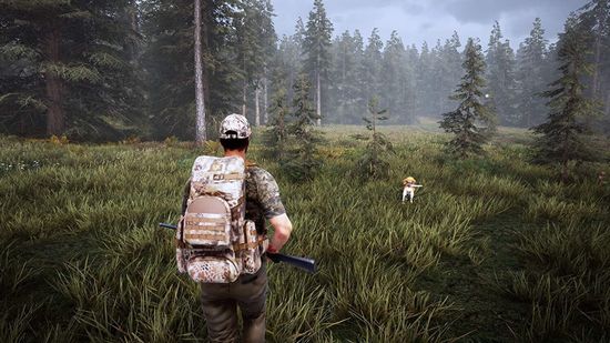 Hunting Simulator 2 [PS4, русские субтитры]