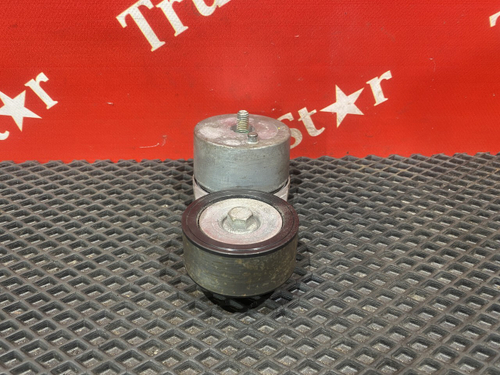 Ролик-натяжитель 2020г