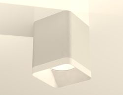 Ambrella Комплект накладного светильника с акрилом Techno XS7812021