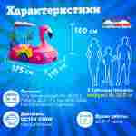 Семейная электрическая лодка-катамаран «Фламинго» розовый, 2+1