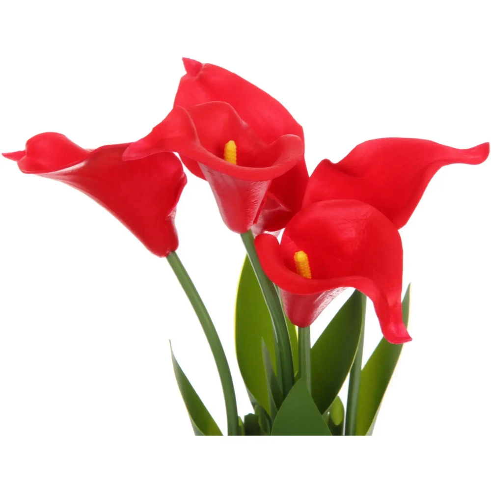 Цветочная композиция «Весенняя рапсодия» 15*30см Каллы красные