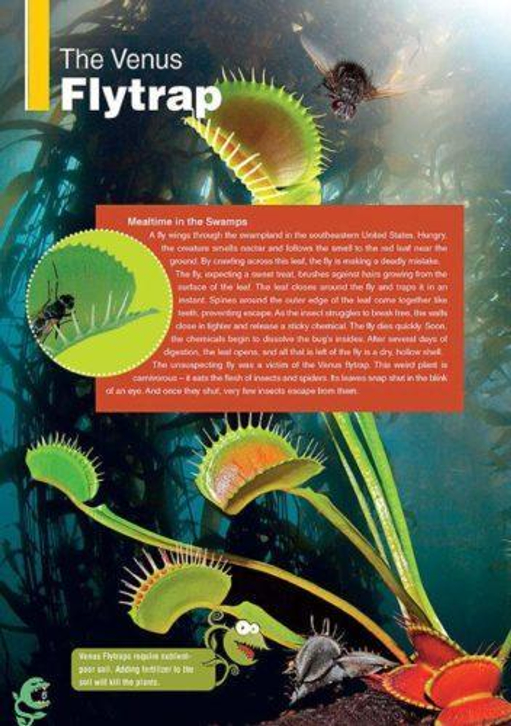 Carnivorous Plants В1/В1+. Книга для чтения с ссылкой на электронное приложение.