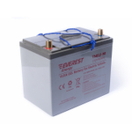 Тяговая аккумуляторная батарея EVEREST TNE 12-90 (6-EVF-70)