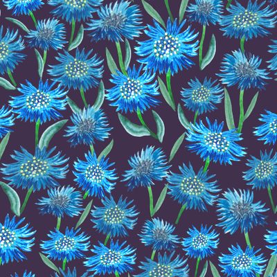 Васильковое поле. Арт 2