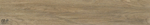 NTCERAMIC. Керамогранит Wood Honey mat 120x20см