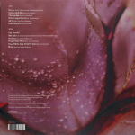 Tortusa / Bre (LP)