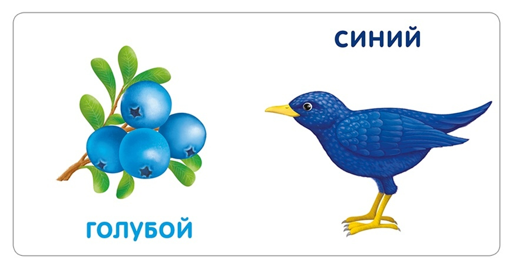 Книжки - картонки. Цвета в природе