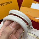 Louis Vuitton Speedy 20