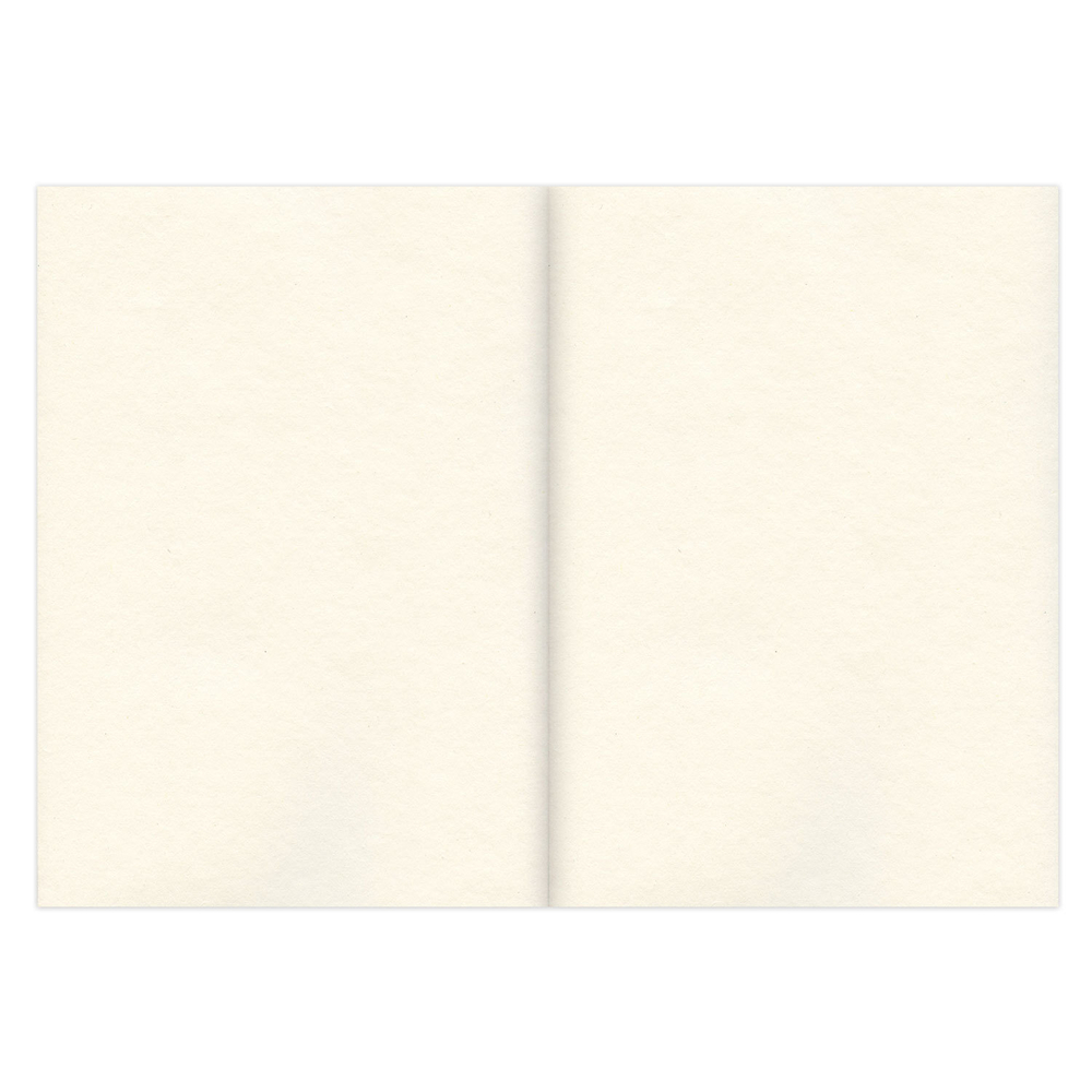 Скетчбук, слоновая кость 100 г/м2, 148х210 мм, 120 л., прошивка, BRAUBERG ART CLASSIC, 128961