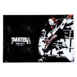 Обложка Pantera Dimebag (167)