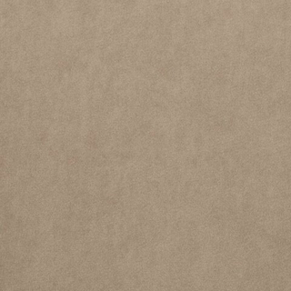 Микровелюр Бэст 24