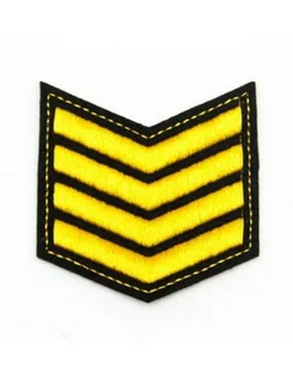 Курсовка вышит. 4 курс (черн.)