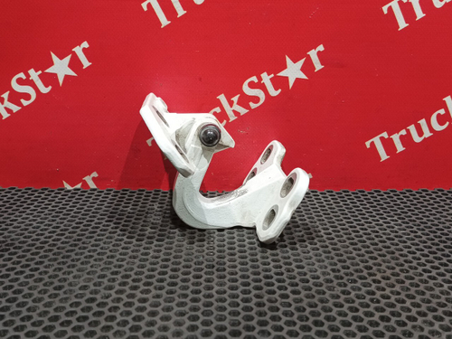 Петля двери правой 2016 год.