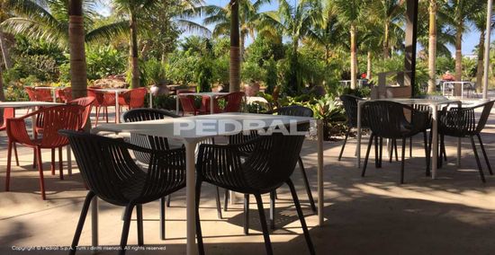 Кресло пластиковое Tatami