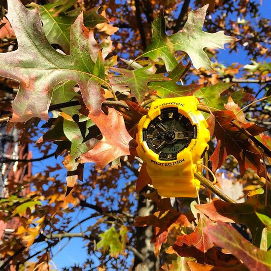 Наручные часы Casio G-Shock GA-110CM-9AER