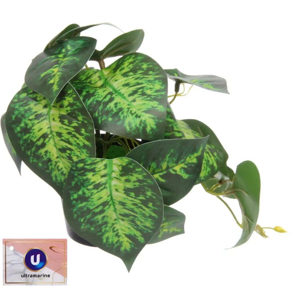 Цветок искусственный в горшке «Диффенбахия» 20*16см гладкий лист