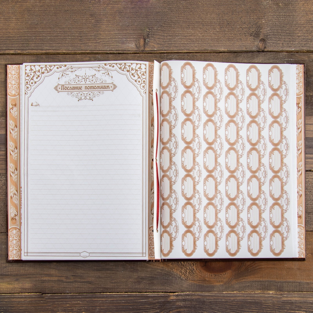 Родословная книга «Древо», 50 листов, 30.5×22.5 см