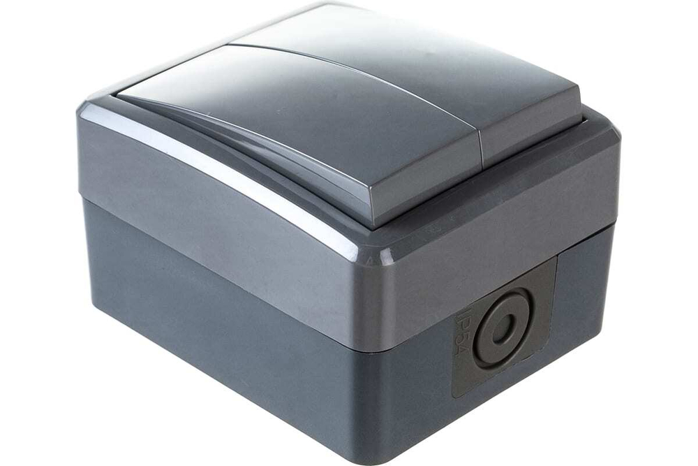 Выключатель 2-клавишный IP54, 10АХ-250В, серый Эксперт ЭРА