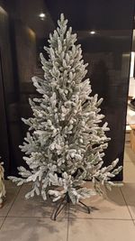 Ель Заснеженная «Нордман» (Литая хвоя) 180 см / 1,8 м