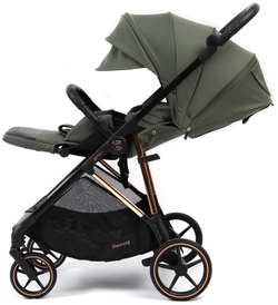 Прогулочная коляска Peppy Amici с автокреслом First Black Green рама Gold