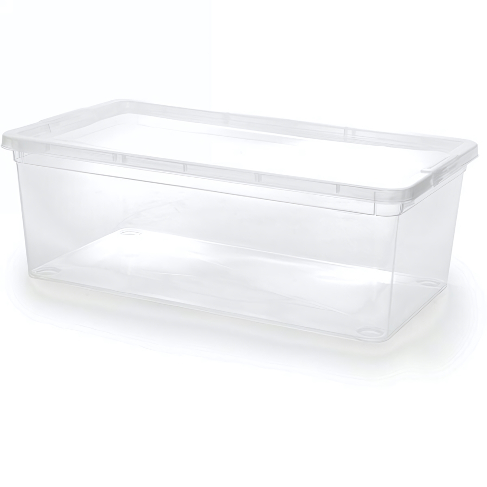 Контейнер универсальный с крышкой для хранения «MYSTERY», прозрачный, 34*19*12см, 5.5л