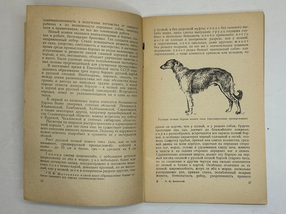 Казанский В. И. Охота с борзой . Москва, изд. Физкультура и спорт. 1957 г.