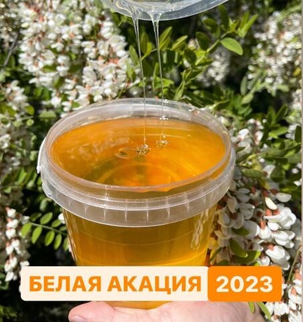 Белая акация мёд 2023г