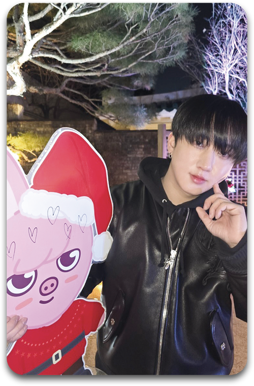 Карта / STRAY KIDS #2191