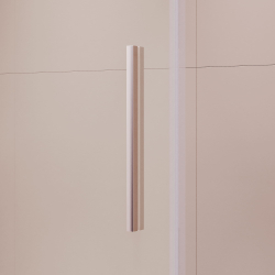 Душевая дверь RGW LE-12 (Прозрачное, 1200)