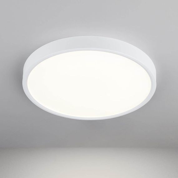 Потолочный светодиодный светильник Elektrostandard DLR034 24W 4200K a043016